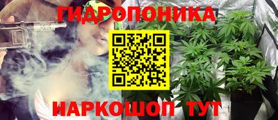 трава Камень-на-Оби
