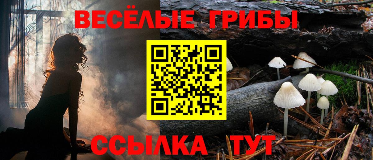 Псилоцибиновые грибы Magic Shrooms  Псилоцибиновые грибы мухоморы  Вход с VPN  Анжеро-Судженск 