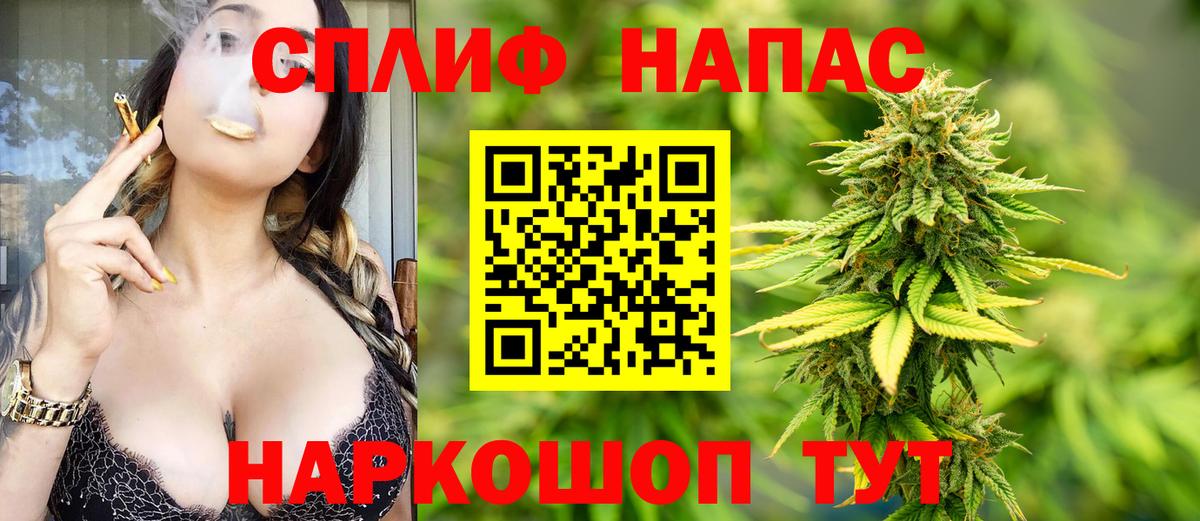 Конопля сатива Анжеро-Судженск